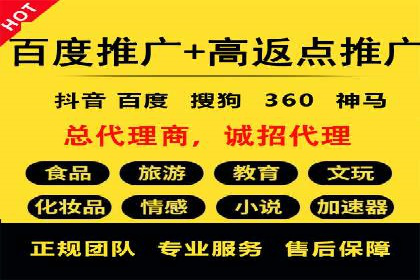 抖音信息流代理在电商行业的应用案例分析